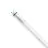 Philips Master Tube LED T8 (EM/Direct 230V) High Output T8 11.3W 2100lm - 865 Lumière Du Jour | 120cm - Remplacement 36W